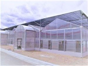 موسمی صلاحیت پولی کاربونیٹ شیٹ۔